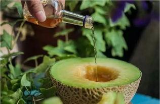 酒后吃蜜瓜,甜蜜解酒新选择