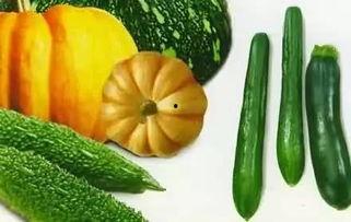 什么叫吃瓜信息,揭秘热点事件背后的真相与娱乐