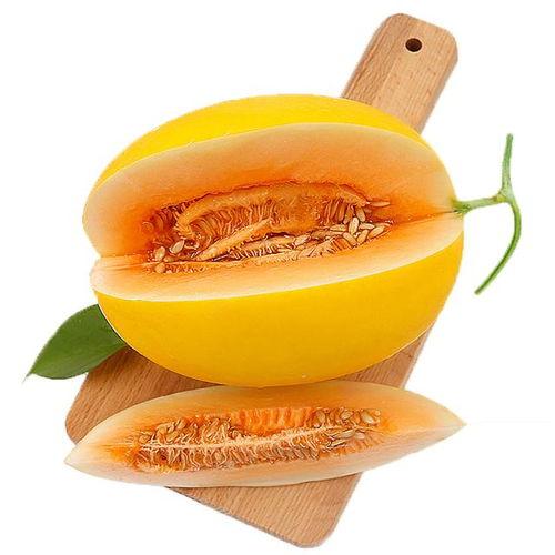 吃蜜瓜祛痰,夏日清凉养生新选择