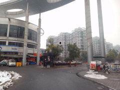 西溪北苑吃瓜,夏日吃瓜盛宴，品味生活百态