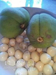 吃瓜什么瓜啊,揭秘“吃瓜群众”的瓜界风云