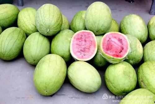 怀仁卖房吃瓜,一场别开生面的房产交易奇遇记