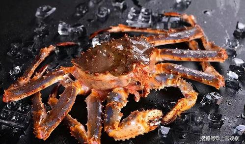 瓜爸吃帝王蟹,帝王蟹美食之旅