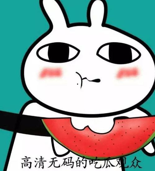 吃瓜表情包 头像女,吃瓜表情包头像女生风采