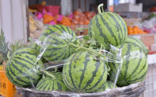 乐洵吃瓜最新,揭秘娱乐圈最新热点事件