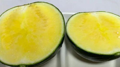 吃瓜加盟,开启你的美食创业之旅