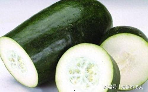 吃的水果瓜,探索水果瓜的多样魅力