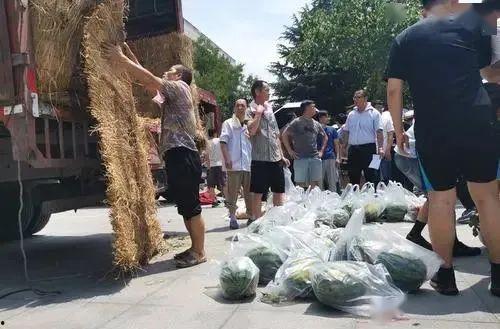 吃瓜西外大学,揭秘校园里的“瓜田”趣事