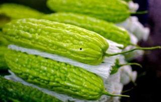 孕妇吃润喉瓜,孕妇养生新选择