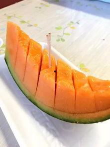 国家队吃瓜,揭秘赛场背后的趣味瞬间