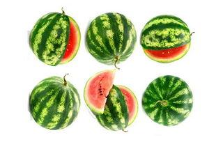 景慧吃瓜,揭秘娱乐圈幕后故事