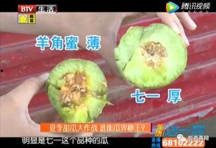 苹果瓜带籽吃,营养与口感的双重享受