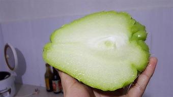 哪个地区吃佛手瓜多