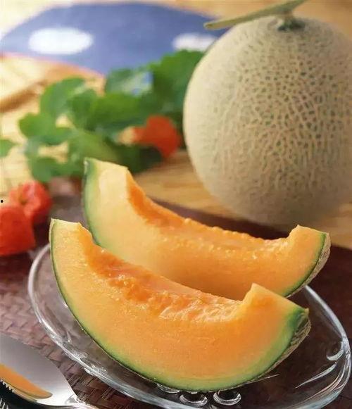 白珍珠吃哈密瓜