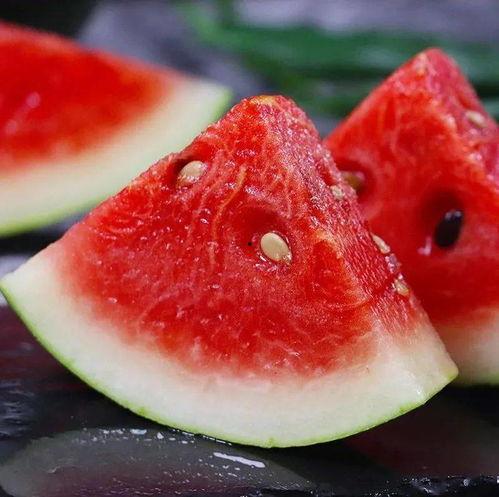 搜索搞笑吃瓜,让你捧腹大笑