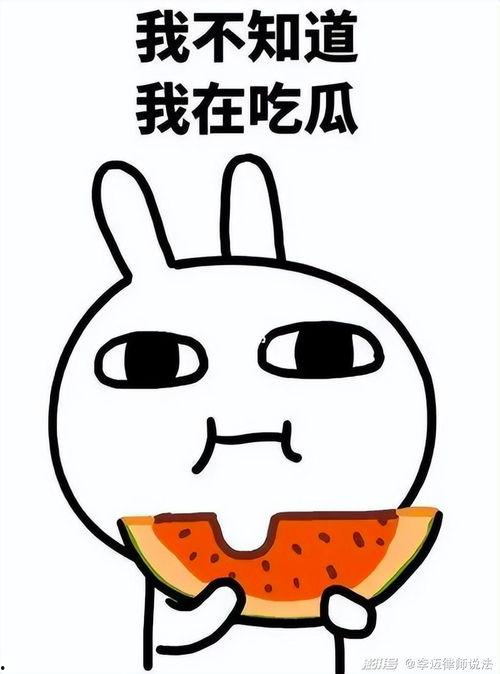 吃瓜 郑哲,揭秘娱乐圈背后的故事与真相