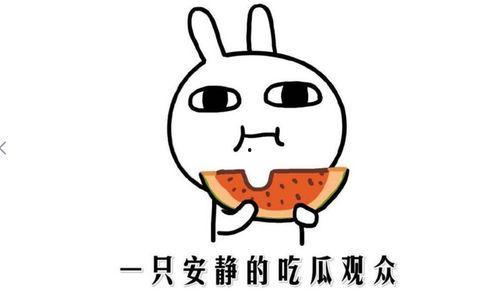 吃瓜有什么含义