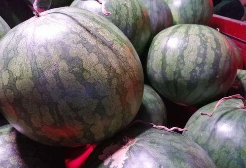 联合拍摄吃瓜,吃瓜群众狂欢盛宴