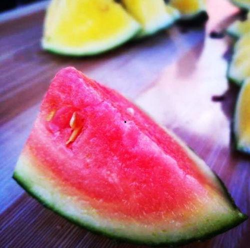 博学楼吃瓜,揭秘校园里的那些“瓜”