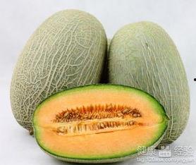 陆虎吃哈密瓜,陆虎畅享哈密瓜美味时光