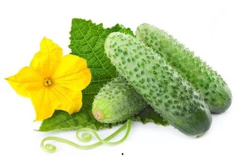 吃瓜系统爆笑满朝文武,宫廷风云笑料百出