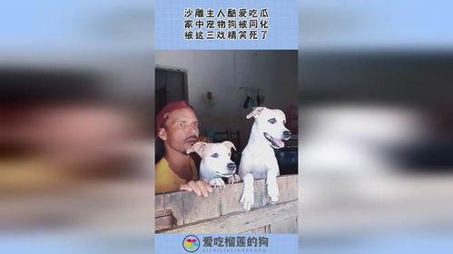 吃瓜的沙雕id,揭秘娱乐圈那些不为人知的幕后故事