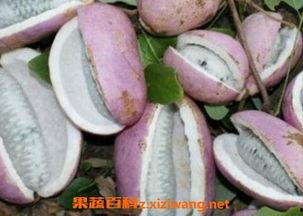 恩施吃大瓜,大瓜盛宴，尽享山城风味