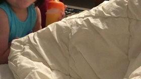 olivia吃瓜,娱乐圈吃瓜大事件全记录