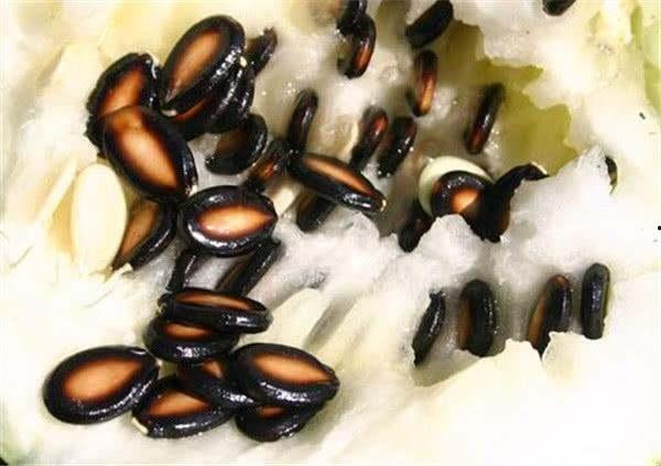 小籽瓜咋吃,解锁美味新体验