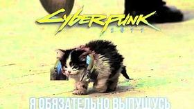 吃瓜卷毛,揭秘娱乐圈的幕后故事