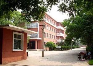 榆次经纬中学吃瓜,吃瓜事件背后的校园生活点滴