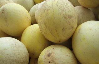 流产后可以吃白兰瓜吗,白兰瓜的营养与恢复之道