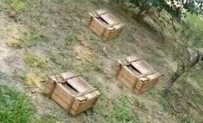 吃鸡吃瓜变身剪辑