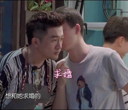 吃瓜买菜观众,揭秘娱乐圈与市井生活的双重魅力