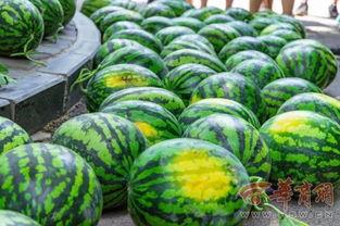 安顺学院最近吃瓜,最新“吃瓜”事件大盘点