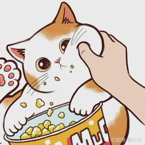 卡通猫吃瓜头像女,萌趣横生的网络潮流