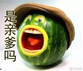 剩下的瓜我吃的瓜,回味那些剩下的瓜我吃的瓜