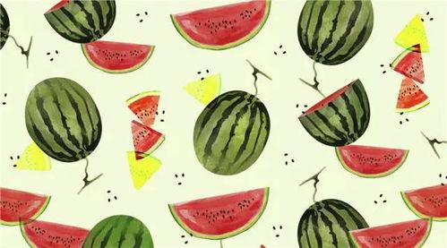 《瓜瓜吃瓜》的主题,揭秘娱乐圈的甜蜜与苦涩