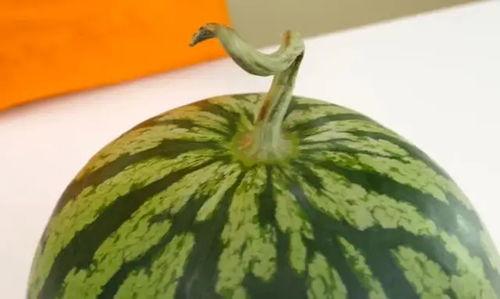 吃的瓜怎么打开的,揭秘各种瓜果的打开秘诀