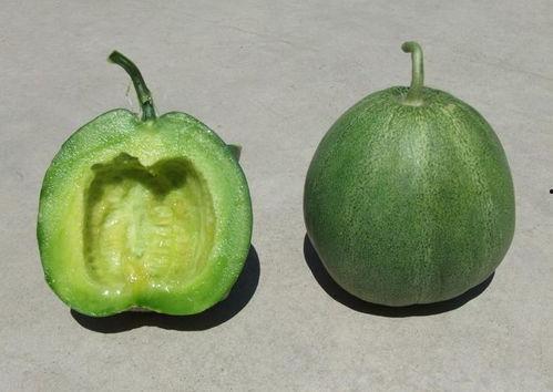 吃瓜1号,网络红人的崛起与影响力