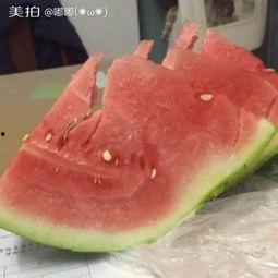 深夜瓜地吃西瓜