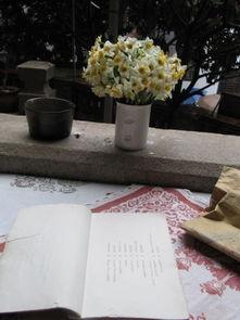 杭州花海求婚吃瓜,围观群众变身“吃瓜群众”