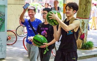 吃瓜台州学校,揭秘“吃瓜”背后的校园生活