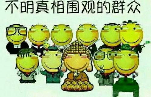 吃瓜群众安逸视频,带你领略短视频的魅力与趣味
