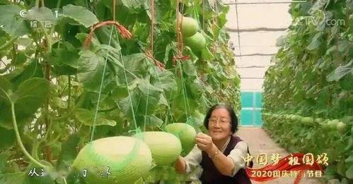 吃瓜事件 江苏,揭秘网络舆论的风云变幻