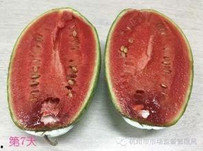 吃瓜变色